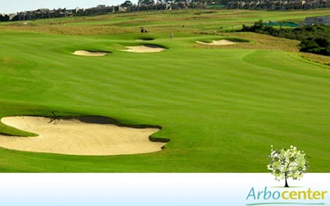 Campo de golfe em grama bermudas
