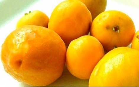 Fruto do Pessego do Mato