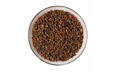 Sementes de Aroeira Pimenteira