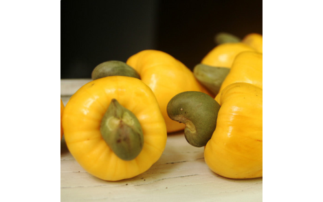 Frutos e Pseudo-frutos Caju Amarelo