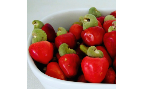 Frutos colhidos de Cajuzinho do Cerrado