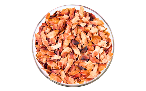 Sementes de Cedro do Brejo