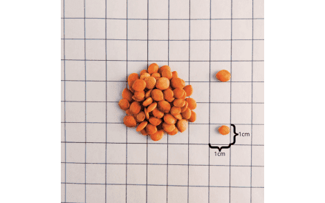 Sementes de chapadinha em papel quadriculado 1cm