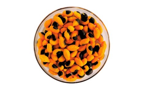 Sementes de Copaíba