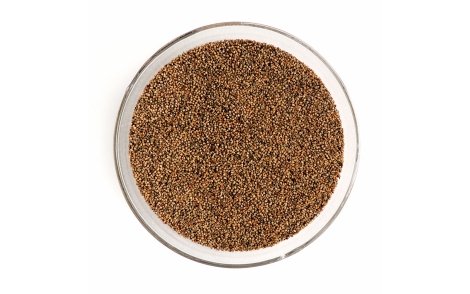 Sementes de Figueira Branca