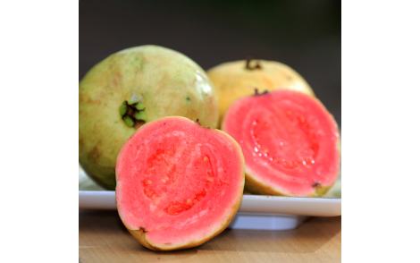Fruto de Goiaba Vermelha