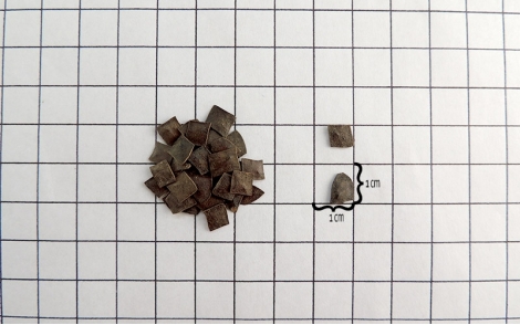 Sementes de Maricá em papel perspectiva de 1cm.