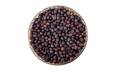 Sementes de Paineira rosa