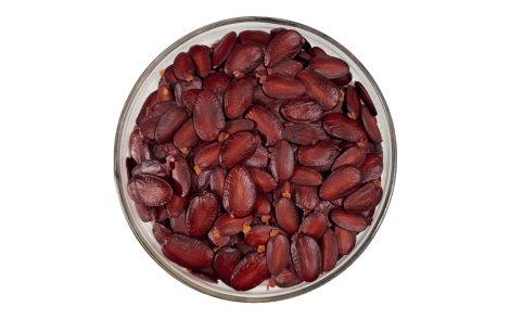 Sementes de Pau roxo