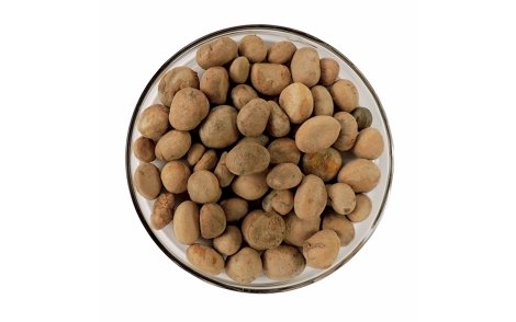 Sementes de uvaia.