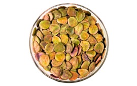 Sementes de Pau Brasil