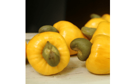 Sementes de Caju-Amarelo 