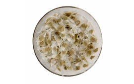 Sementes de Ipê Branco(Tabebuia roseoalba (Ridl.) Sandwith)