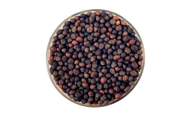 Sementes de Paineira Rosa