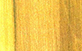 Sementes de Osso de Burro (Helietta apiculata)