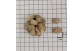 Sementes de amburana em papel quadriculado 1cm