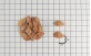 Sementes de Amendoim Bravo em papel perspectiva 1cm