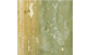 Tronco de Araçá Amarelo