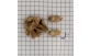 Sementes de Brauna em papel quadriculado 1cm