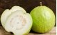 Fruto Goiaba Branca