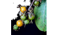 Frutos em desenvolvimento de murici do cerrado