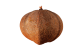 Fruto capsula globosa vista de lado