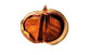 Fruto capsula globosa aberto